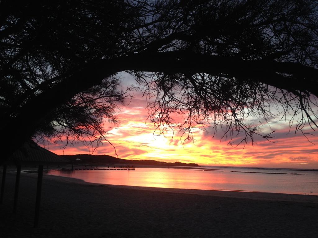 Nautilus Retreat Kalbarri B&B Kültér fotó